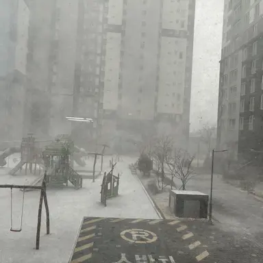 Profile image of 안율