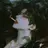 백준우