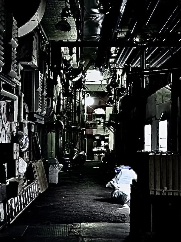 Fuhe-25의 大人なんていらないよ。