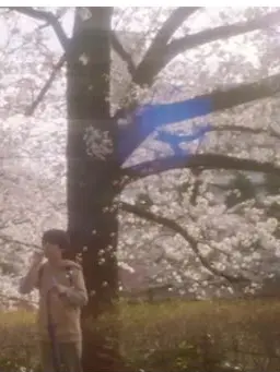 GEKI.OMO.love의 초속 5센티미터.