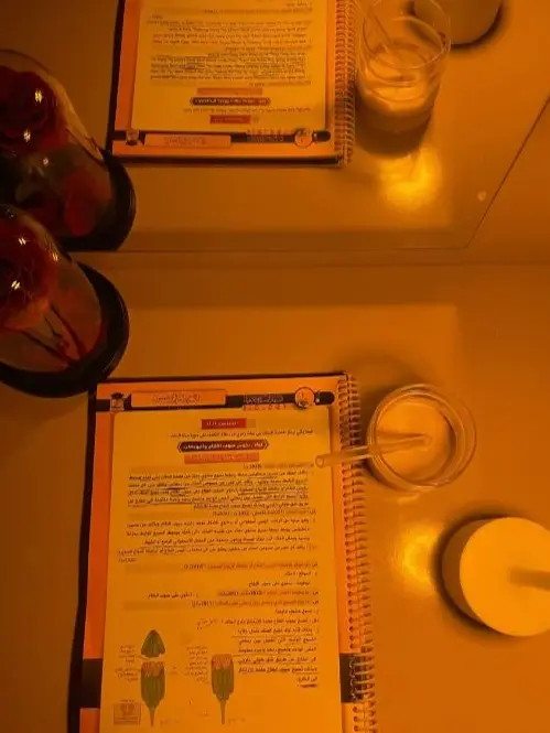 LovelyLargo4766의 貴方って人はどんな人＿?