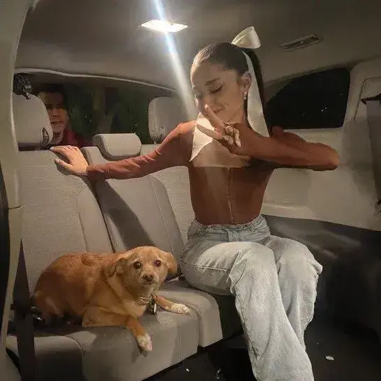 UniqueHelm1628의 Ariana Grande