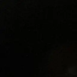 Profile image of 수진