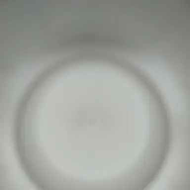 Profile image of 리온