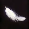 Profile image of 천사혁