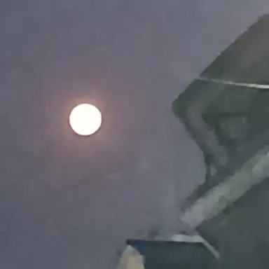 Profile image of 블루밍