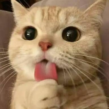 Profile image of 츄츄