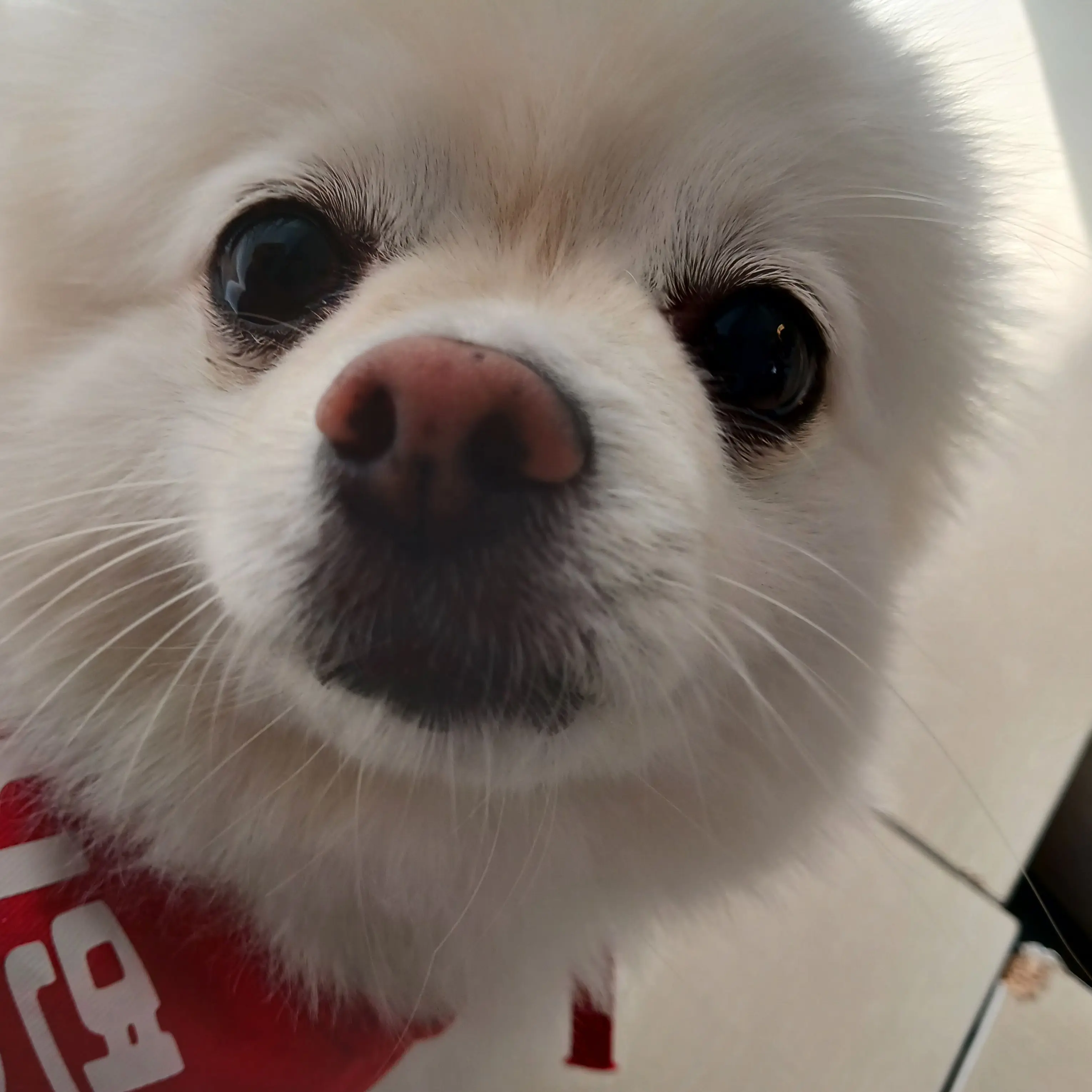 CoarseBread4719의 평학님과 두근두근 썸타기!!