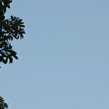 Profile image of 이여우