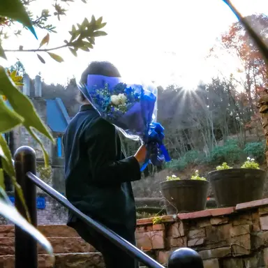 Profile image of いふ