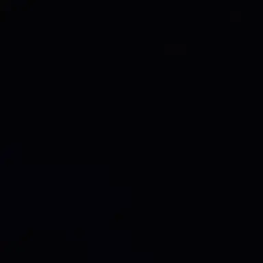 Profile image of 최민정