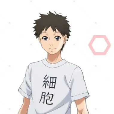 Profile image of 一般細胞