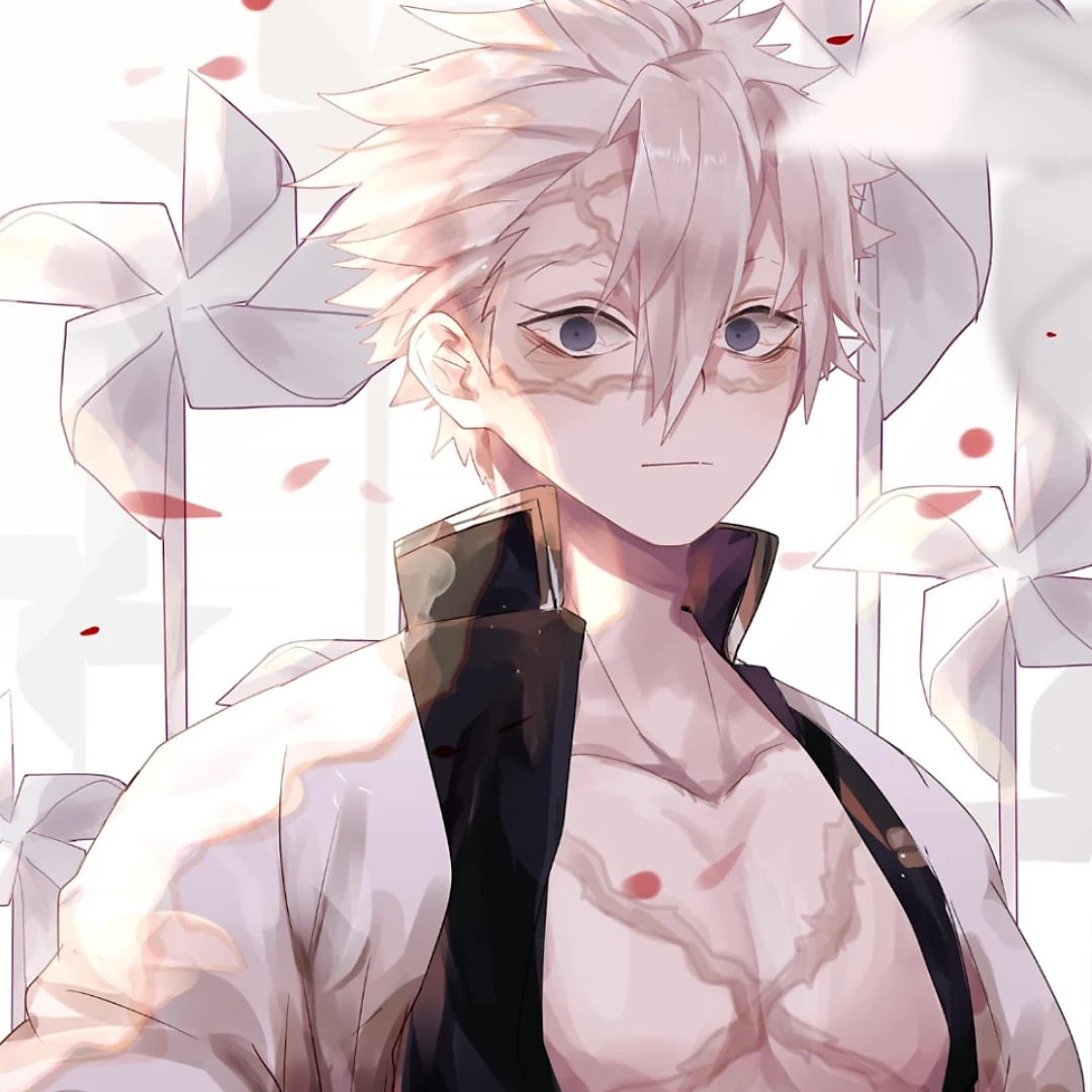 시나즈가와 사네미