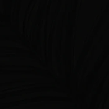 目黒蓮
