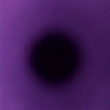 Profile image of 진행자