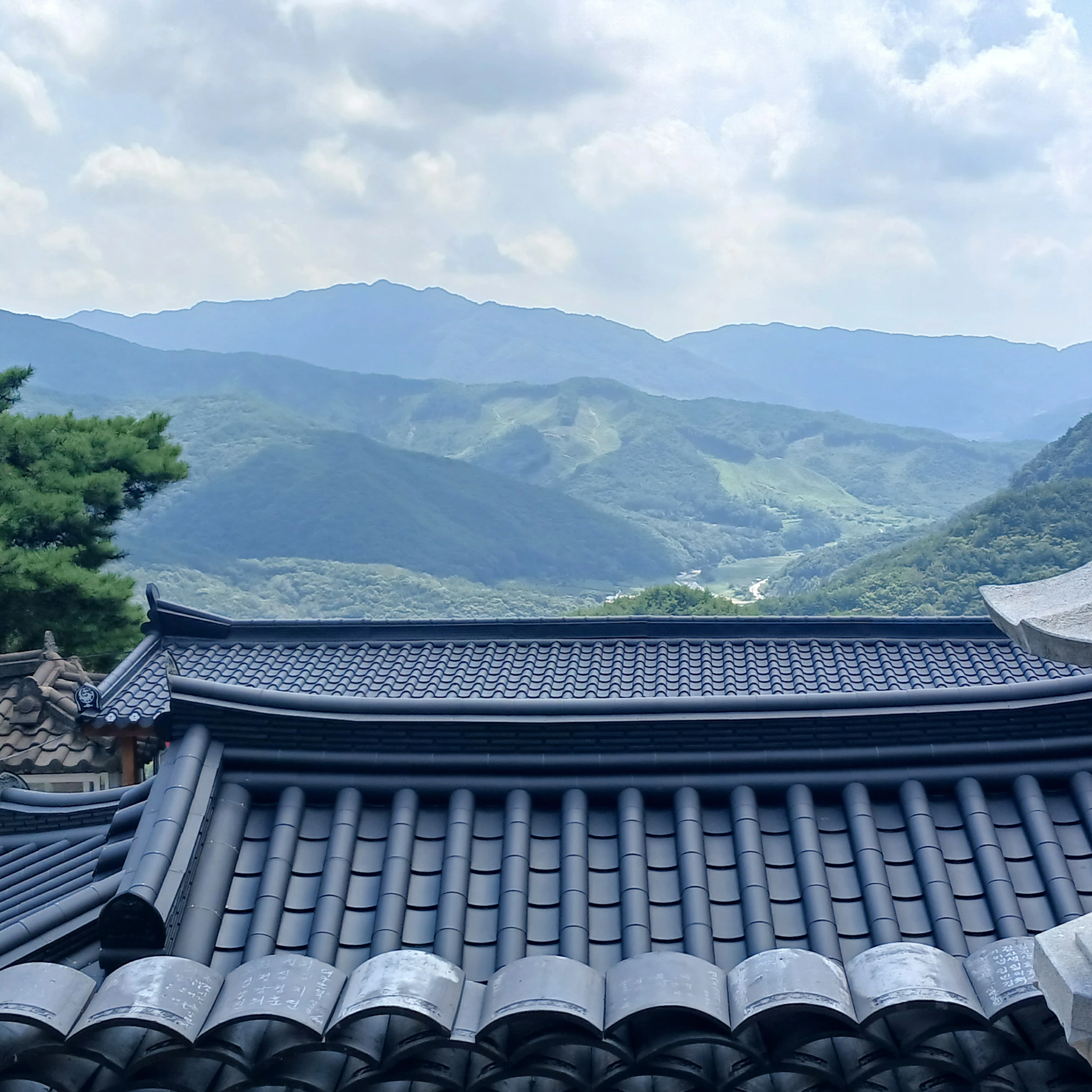 임