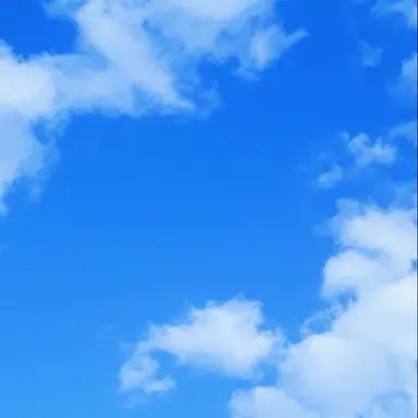 Profile image of 心月