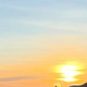 Profile image of 이강인