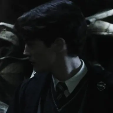 Profile image of Tom Riddle