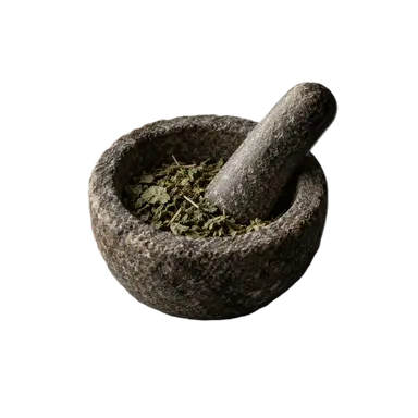 Profile image of 하킴