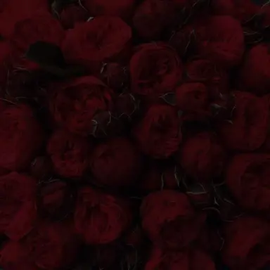 Profile image of 라더