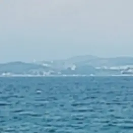 Profile image of 수현