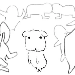 발닦개