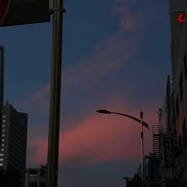 Profile image of 서다현