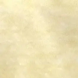 Profile image of 上鳴電気