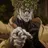 DIO