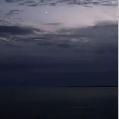 Profile image of 海