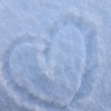 Profile image of 최현