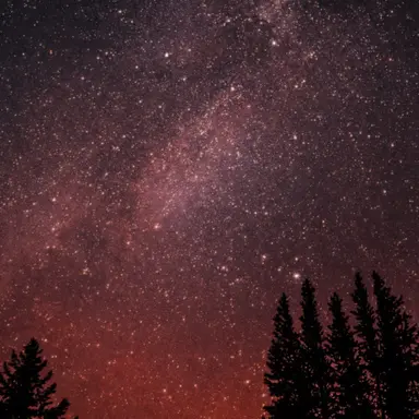 Profile image of 서라더