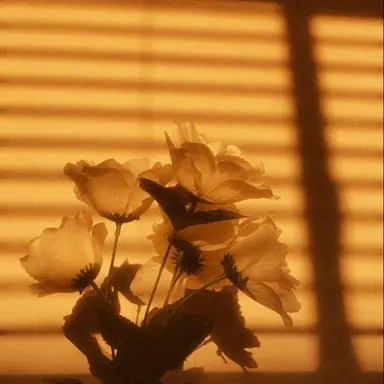 Profile image of 김각별