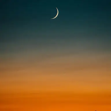 Profile image of 박덕개