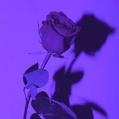 Profile image of 황수현