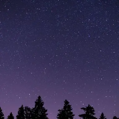 Profile image of 황수현