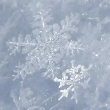 Profile image of 竹野世梛