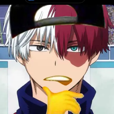 Profile image of Shoto todoroki