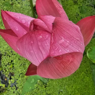 Profile image of user