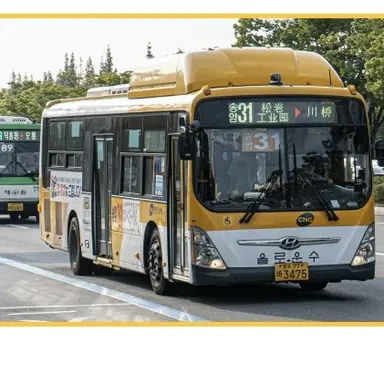 Profile image of 송암31 광주
