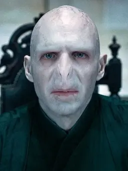 Profile image of Tom riddle