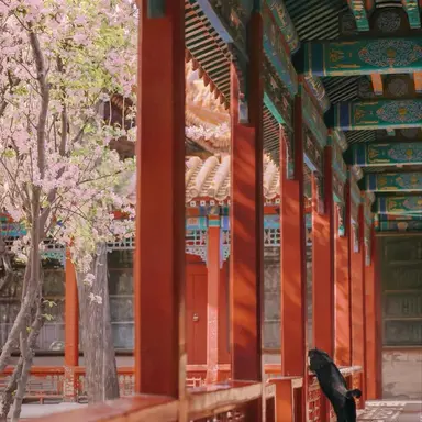 Profile image of 루카