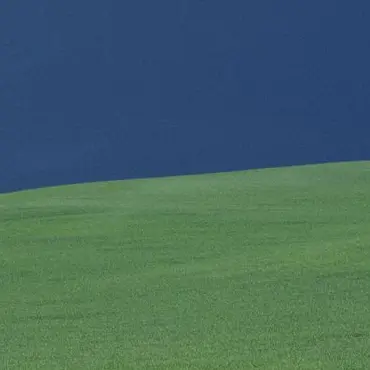 Profile image of 김홍진