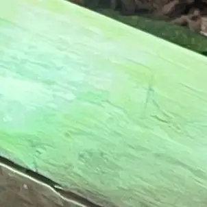 Profile image of 공룡