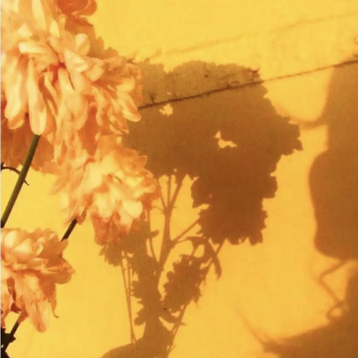 Hehi._.의 이승을 떠도는 귀신