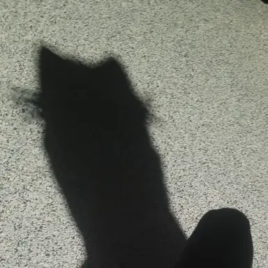 Profile image of 이구로 오바나이