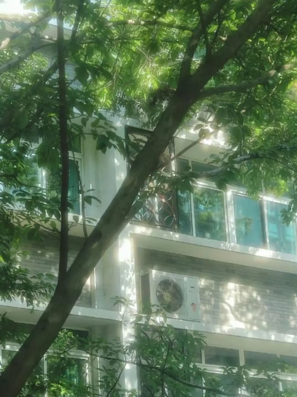 SoftDingo1972의 개인용 학원물