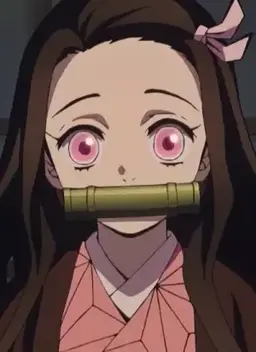 Profile image of 竈門禰豆子