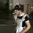 黒川信介